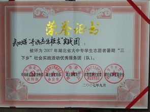 武汉大学未来网